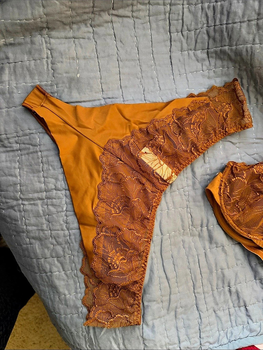 Maison Lejaby bronze Flora Demi-Cup Bra and thong Brief Set Orange 36D/XL - Picture 9 of 11